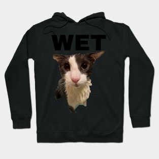 Soggy Cat Wet Hoodie